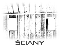 Sciany